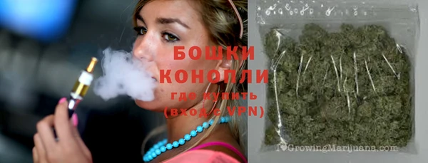 молекула духа Вязники