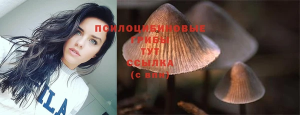 гашик Вязьма