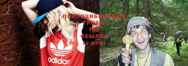 гашик Вязьма