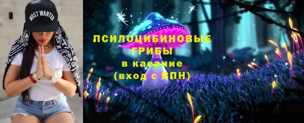 гашик Вязьма