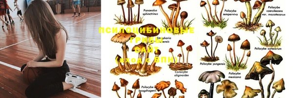 молекула духа Вязники