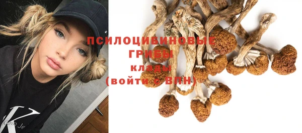 молекула духа Вязники